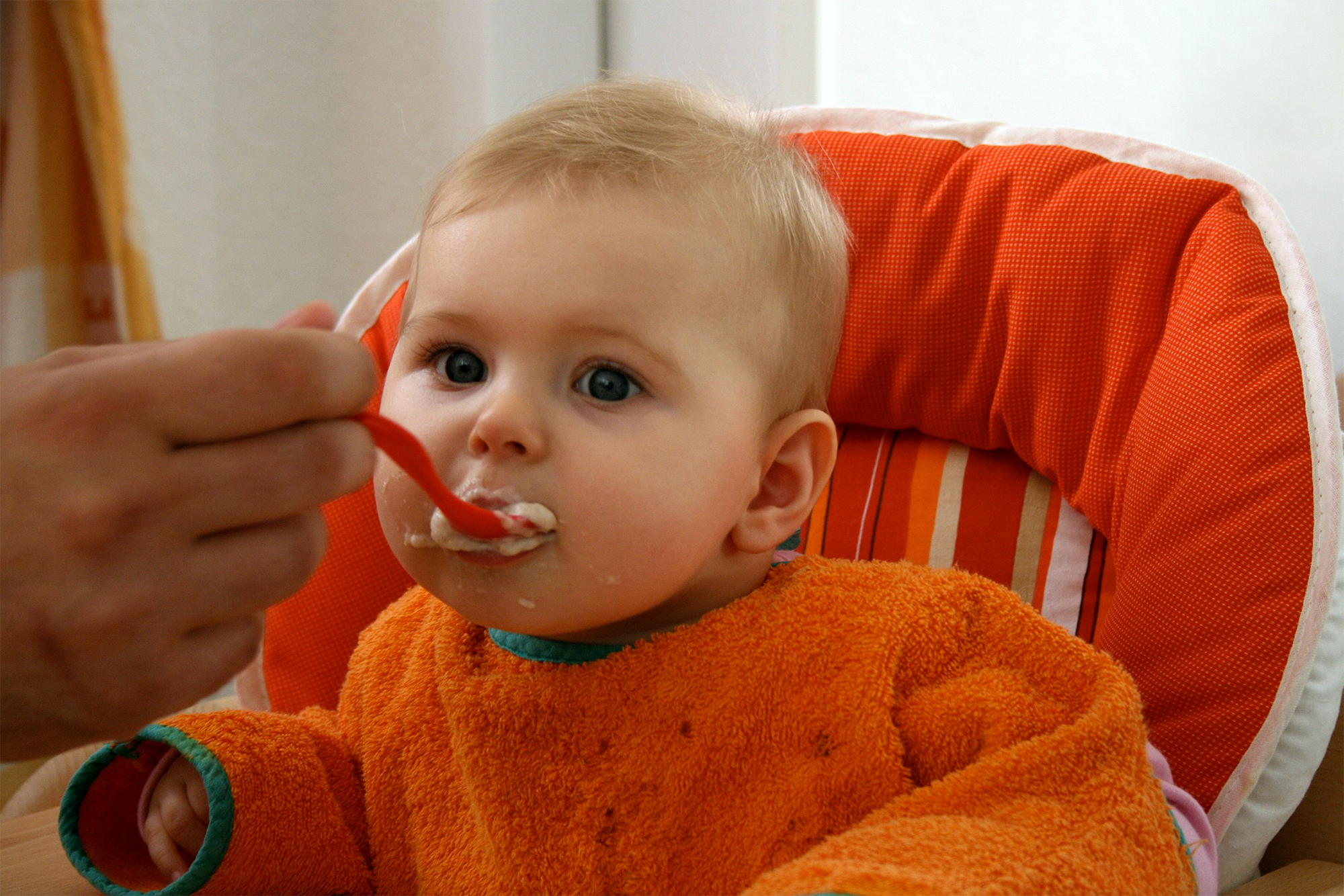 Recetas de papillas Para bebes de 6 meses Las PRIMERAS comidas Solidas  para un BEBE 